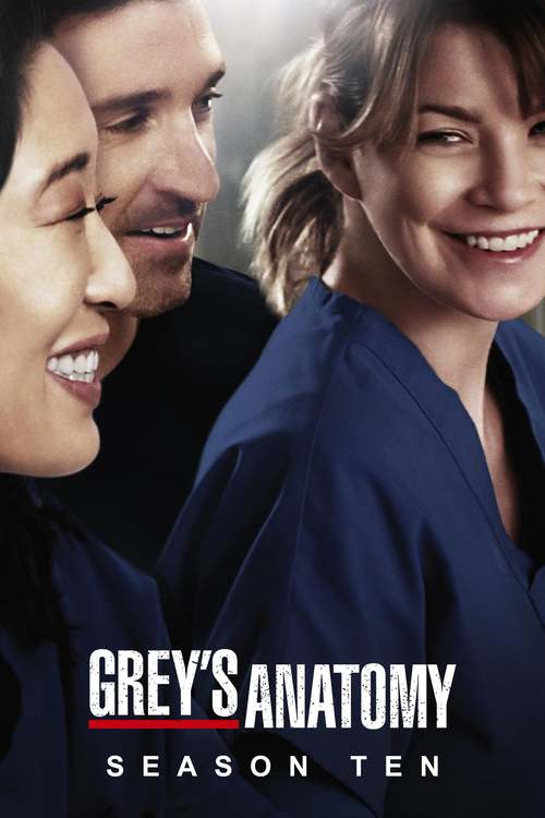 Grey's Anatomy - Saison 10 wiflix