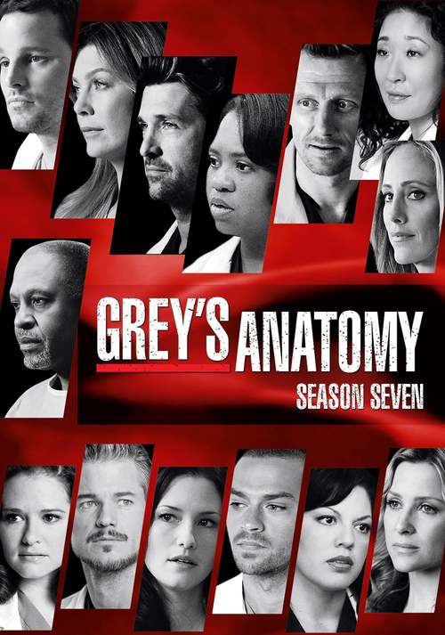 Grey's Anatomy - Saison 7 wiflix