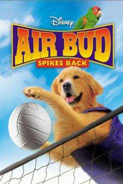 Airbud 5 : superstar (Air Bud : Spikes Back) wiflix