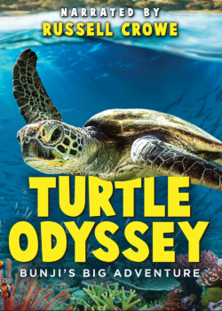 Turtle Odyssey wiflix