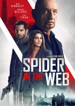 Spider in the Web wiflix