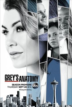 Grey's Anatomy - Saison 16 wiflix
