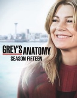 Grey's Anatomy - Saison 15 wiflix