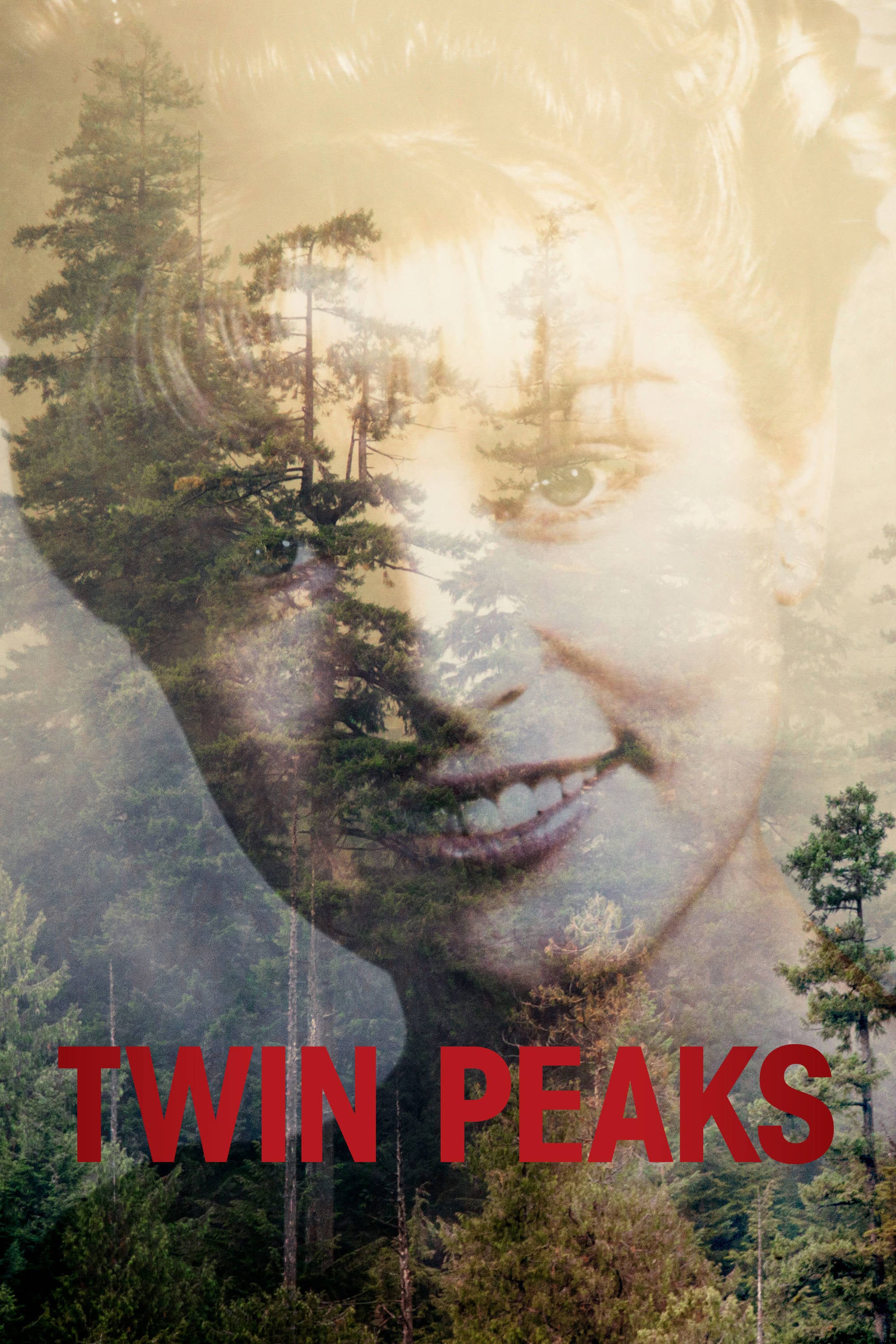 Twin Peaks - Saison 3 wiflix