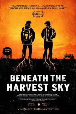 Beneath the Harvest Sky