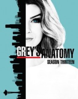 Grey's Anatomy - Saison 13 wiflix