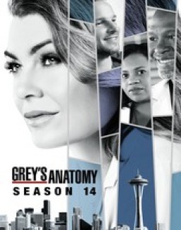 Grey's Anatomy - Saison 14 wiflix