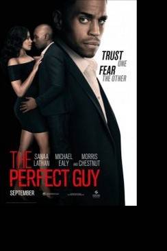 The Perfect Guy wiflix