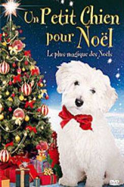 Un Petit chien pour Noël (Christmas Spirit) wiflix