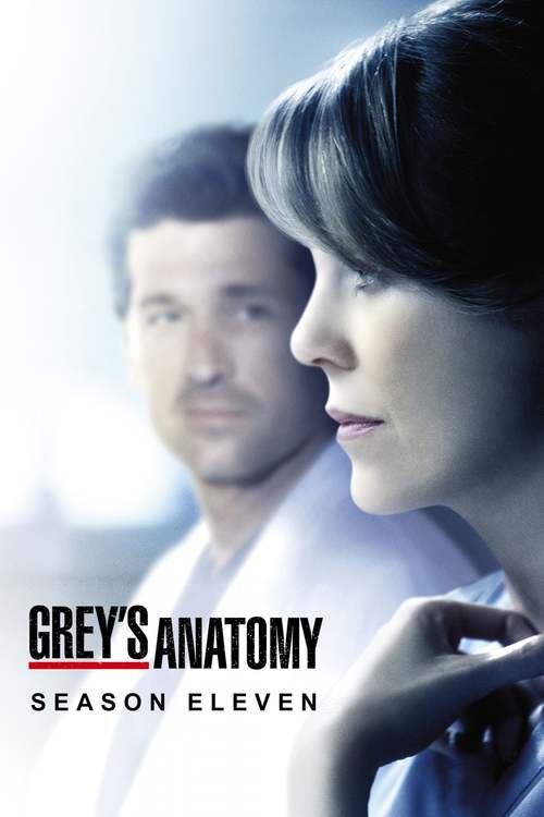 Grey's Anatomy - Saison 11 wiflix