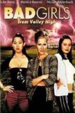 Bad Girls From Valley High wiflix