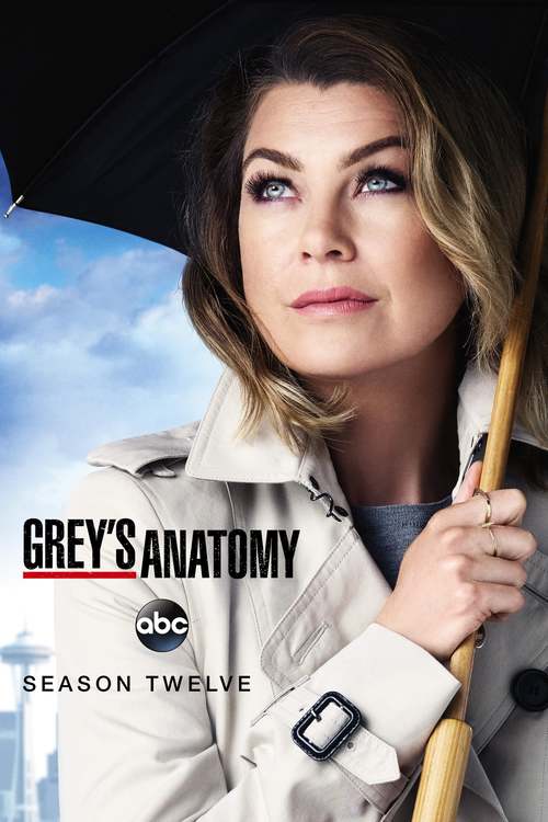 Grey's Anatomy - Saison 12 wiflix