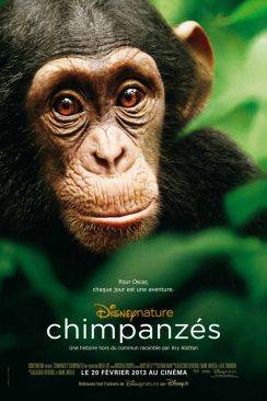Chimpanzés (Chimpanzee) wiflix