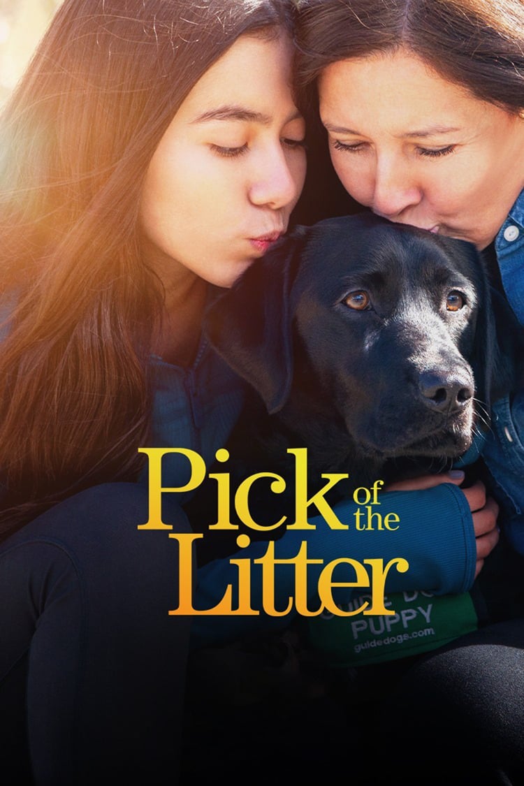 Pick of the Litter - Saison 1 wiflix