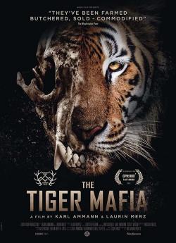 La mafia du tigre wiflix