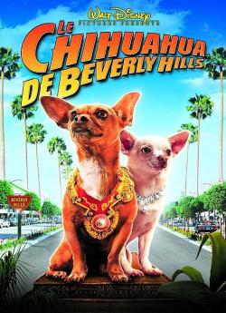 Le Chihuahua de Beverly Hills wiflix