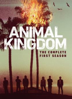 Animal Kingdom - Saison 1 wiflix