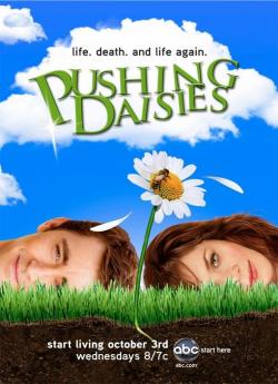 Pushing Daisies - Saison 1 wiflix
