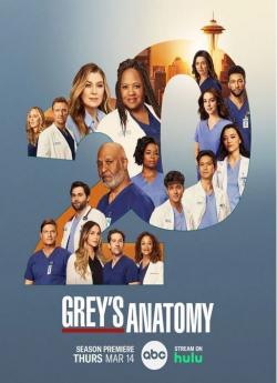 Grey's Anatomy - Saison 20 wiflix