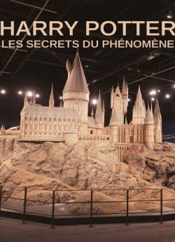 Harry Potter : les secrets du phénomène wiflix