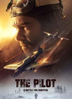 The Pilot: A Battle for Survival wiflix