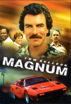 Magnum (1980) - Saison 1