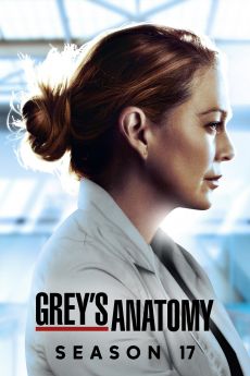 Grey's Anatomy - Saison 17 wiflix