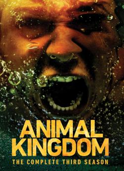 Animal Kingdom - Saison 3 wiflix